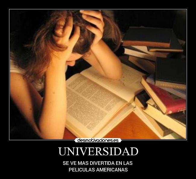 UNIVERSIDAD - 