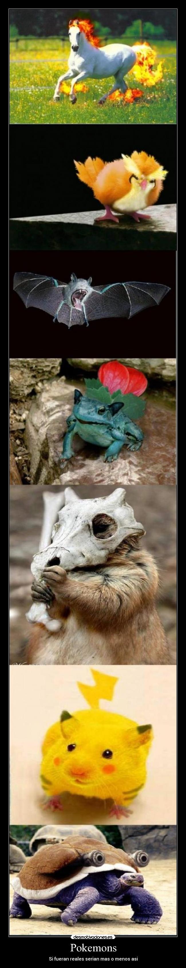 Pokemons - Si fueran reales serian mas o menos asi