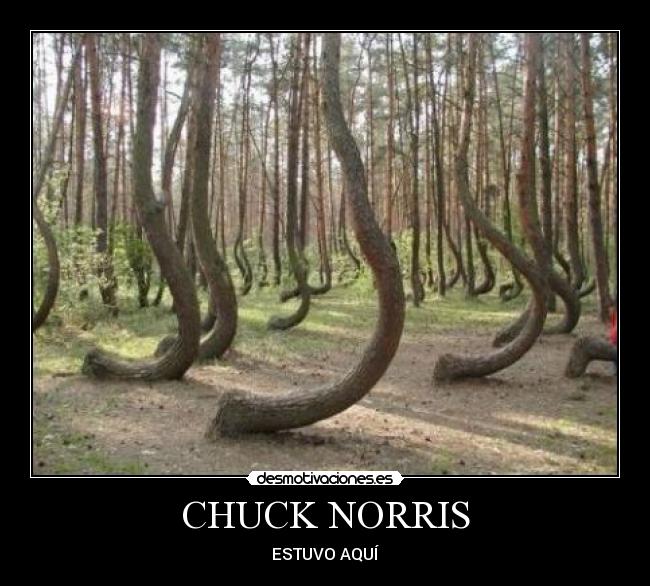 CHUCK NORRIS -