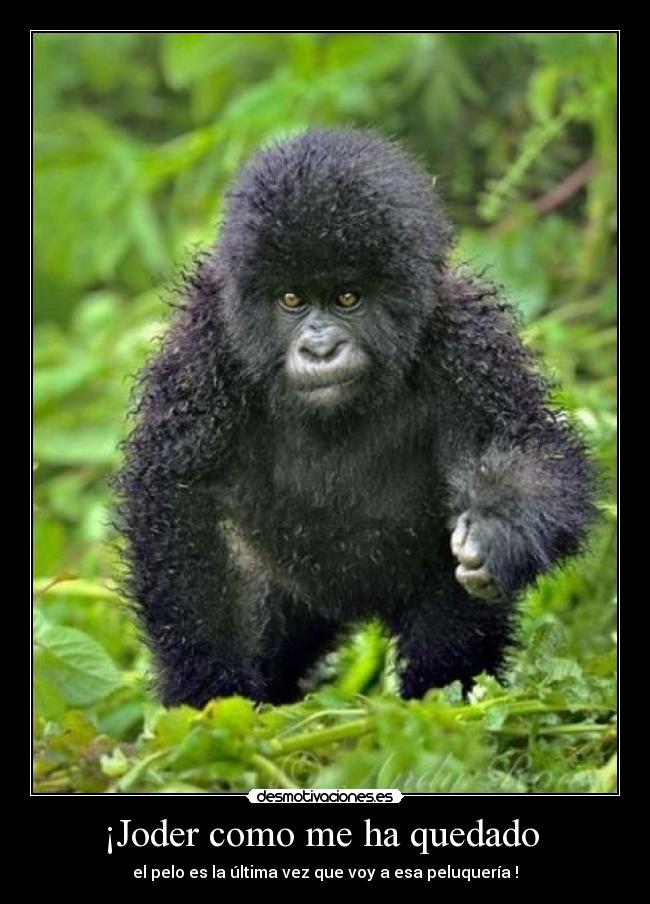 carteles mabruju26022010 desmotivaciones