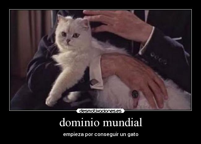 dominio mundial - empieza por conseguir un gato