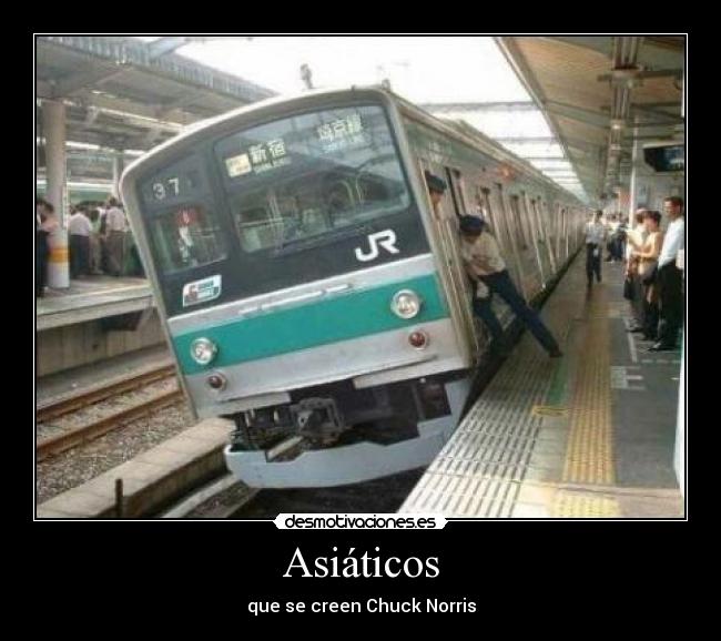 Asiáticos - 