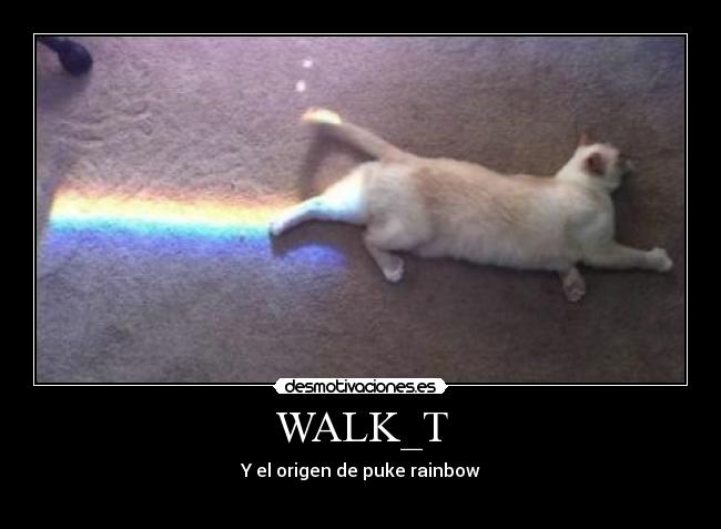 WALK_T - 