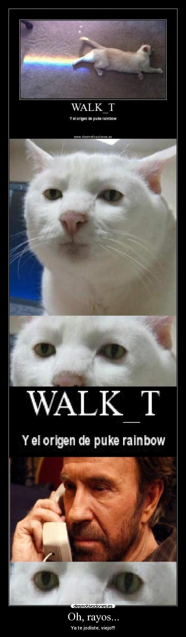 Oh, rayos... - Ya te jodiste, viejo!!!