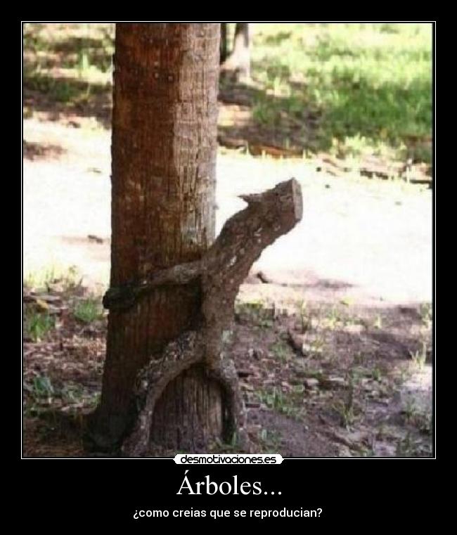 Árboles... -