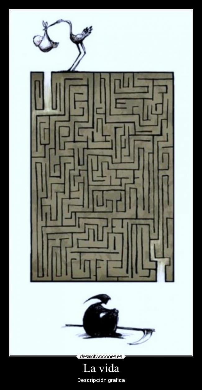 La vida - Descripción grafica