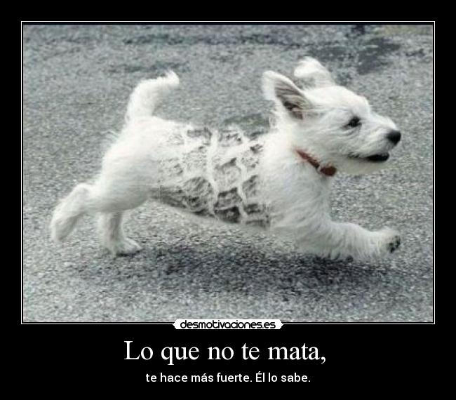 carteles jujuuuuuuuuuuuuuuuuu desmotivaciones