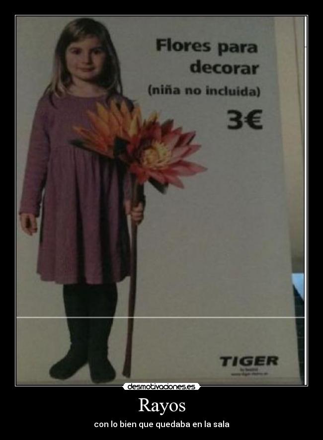 carteles sala nina desmotivaciones