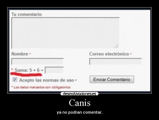 Canis - 