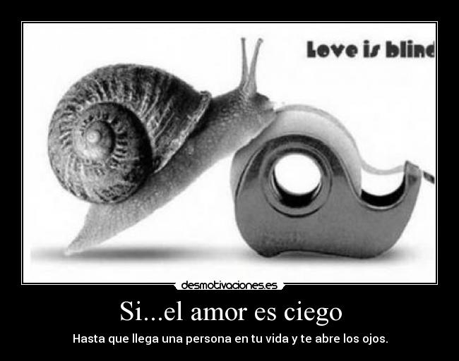 Si...el amor es ciego - Hasta que llega una persona en tu vida y te abre los ojos.