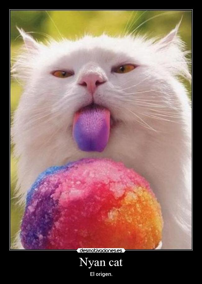 carteles nyan cat origen helado gato desmotivaciones