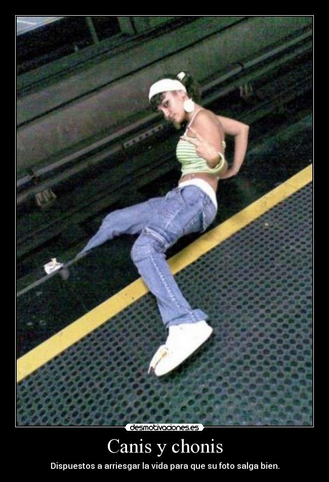 Canis y chonis - Dispuestos a arriesgar la vida para que su foto salga bien.