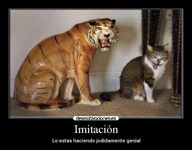 Imitación - Lo estas haciendo jodidamente genial