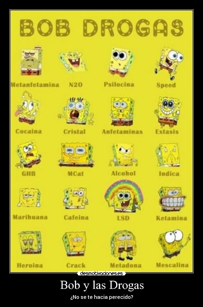Bob y las Drogas - ¿No se te hacia perecido?