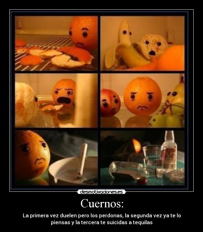 Cuernos: - La primera vez duelen pero los perdonas, la segunda vez ya te lo
piensas y la tercera te suicidas a tequilas