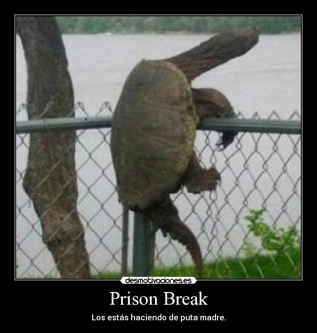 Prison Break -