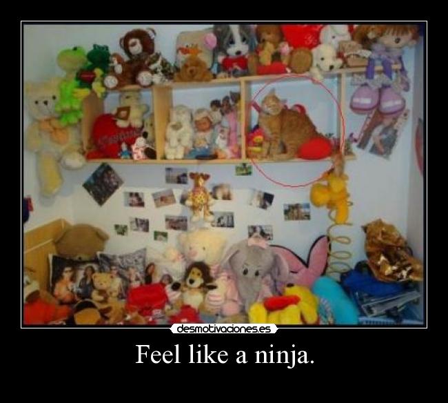 carteles sanny desmotivaciones