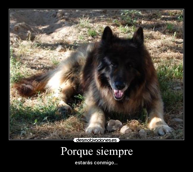 Porque siempre - estarás conmigo...