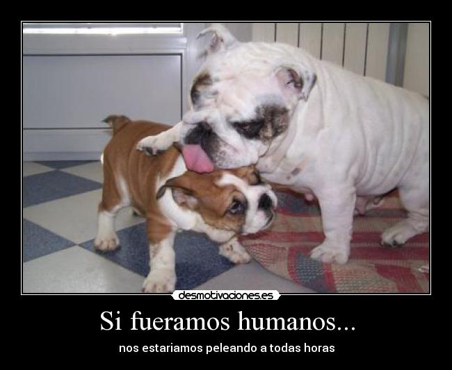 Si fueramos humanos... -