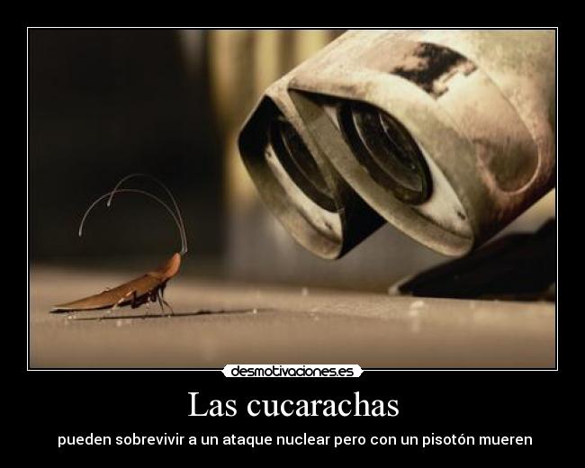 carteles cucarachas desmotivaciones