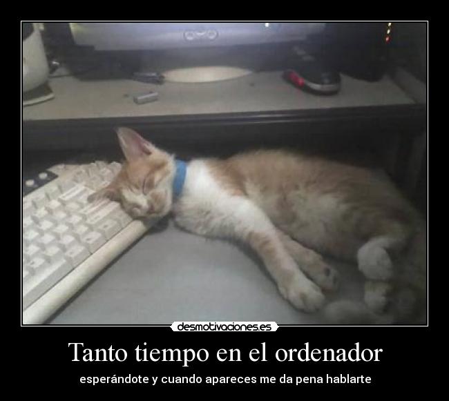 Tanto tiempo en el ordenador - 