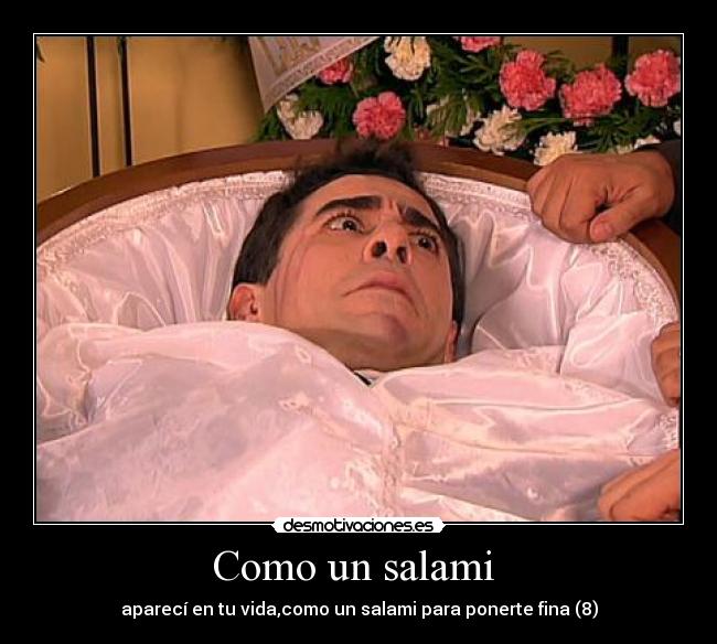 Como un salami - aparecí en tu vida,como un salami para ponerte fina (8)