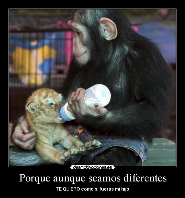Porque aunque seamos diferentes -