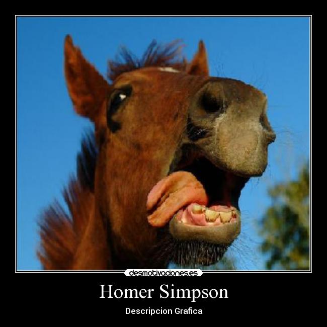 Homer Simpson - Descripcion Grafica