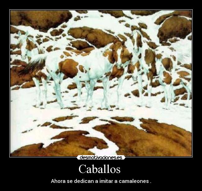 Caballos  - Ahora se dedican a imitar a camaleones .