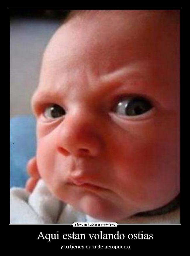 Aqui estan volando ostias - 
