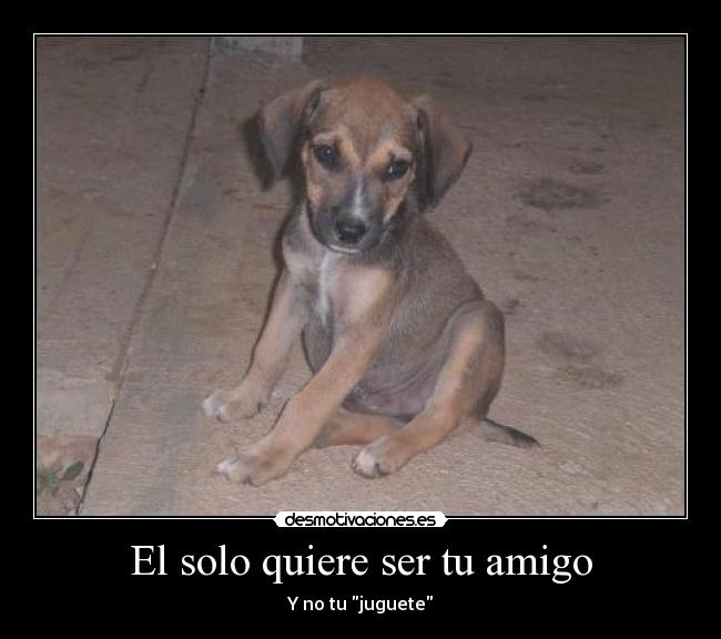 El solo quiere ser tu amigo -