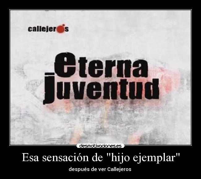 carteles hijo ejemplar desmotivaciones