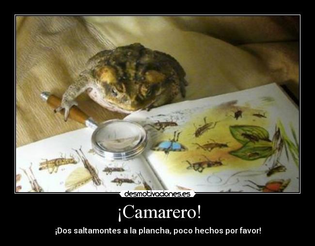 ¡Camarero! - 