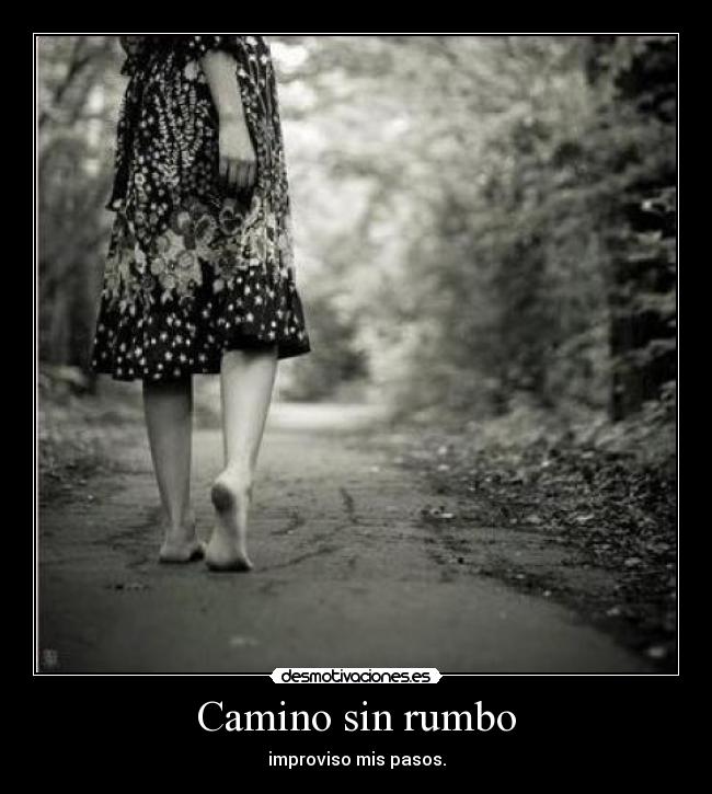 Camino sin rumbo - 