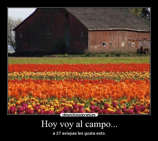 Hoy voy al campo... - 