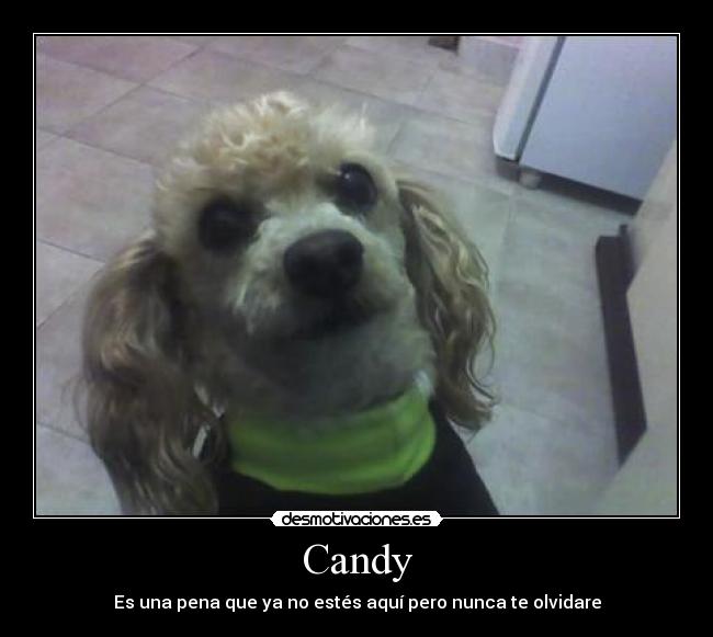Candy - Es una pena que ya no estés aquí pero nunca te olvidare