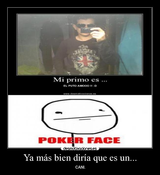 carteles pisano serkiller desmotivaciones