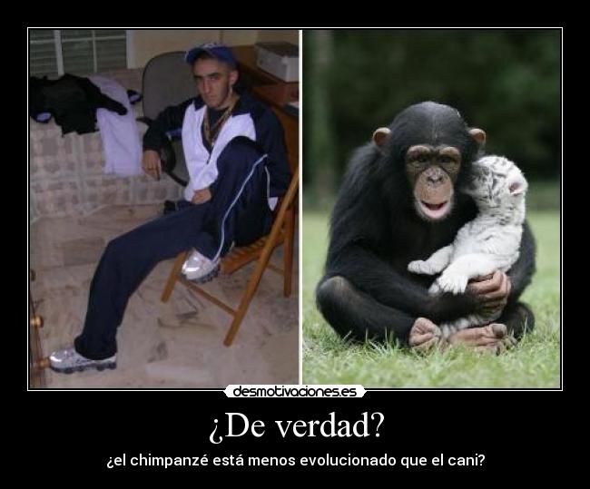 ¿De verdad? - 