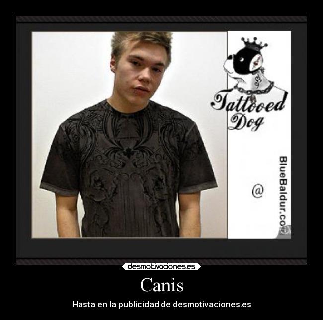 Canis -