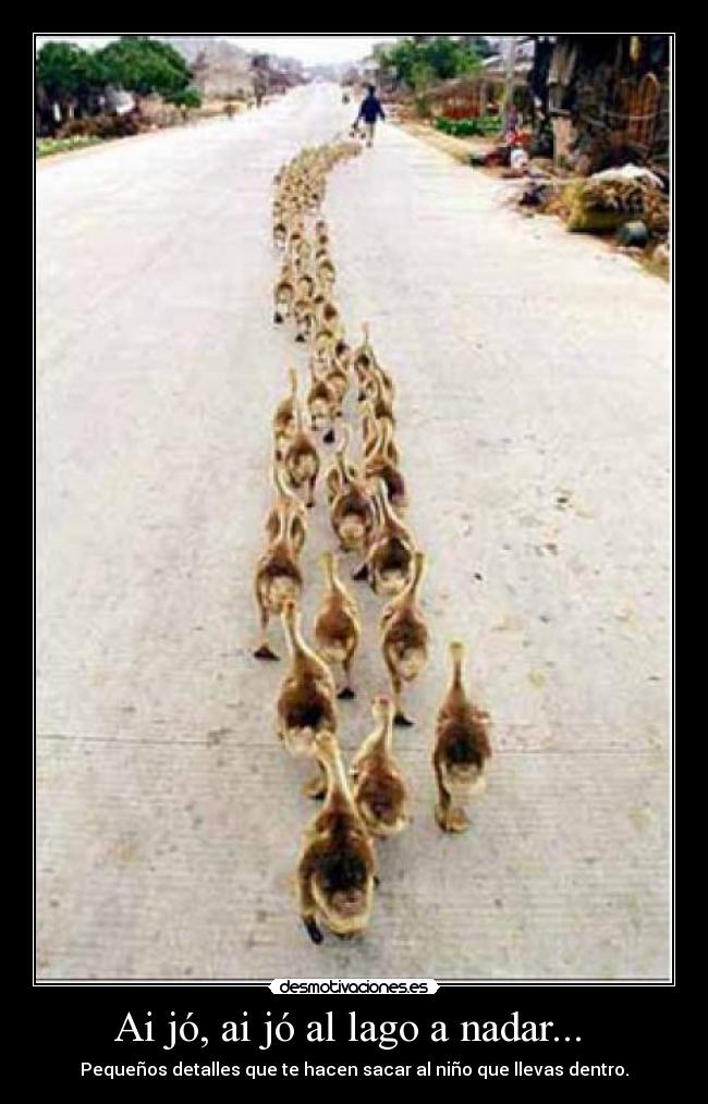 Ai jó, ai jó al lago a nadar...  - 