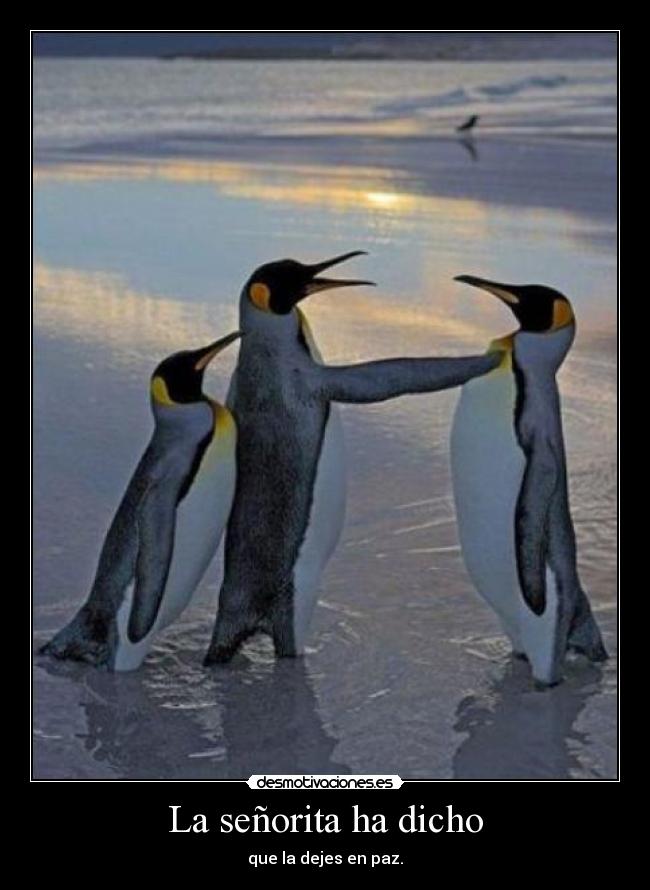 La señorita ha dicho -