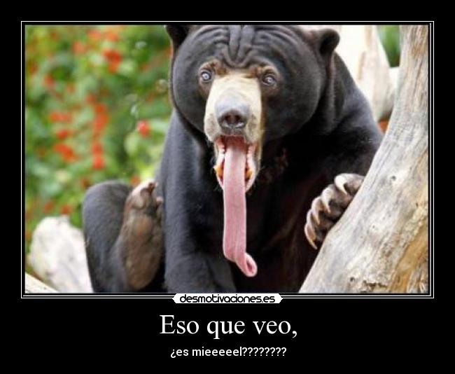 Eso que veo, -