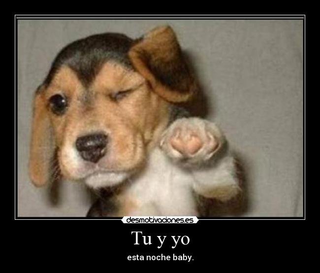 Tu y yo -