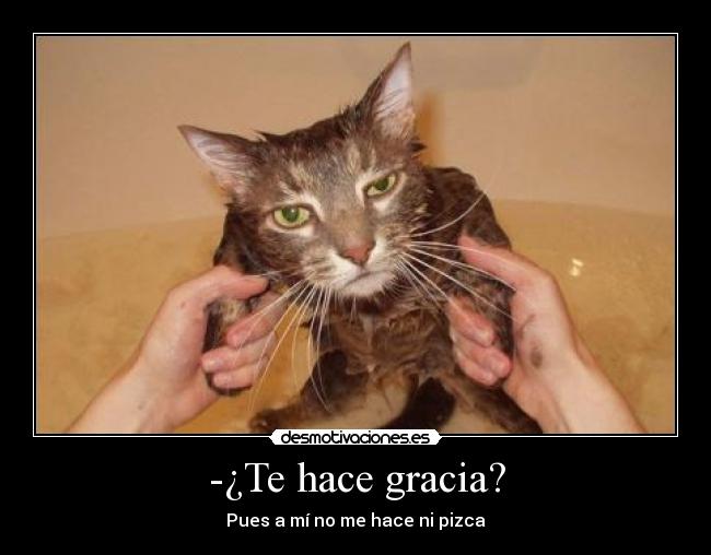 -¿Te hace gracia? -