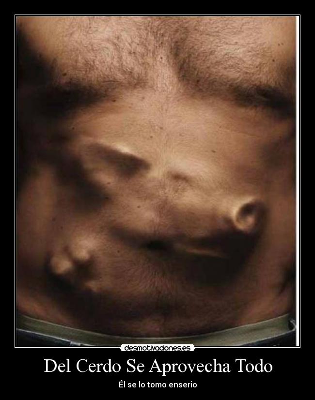 Del Cerdo Se Aprovecha Todo -