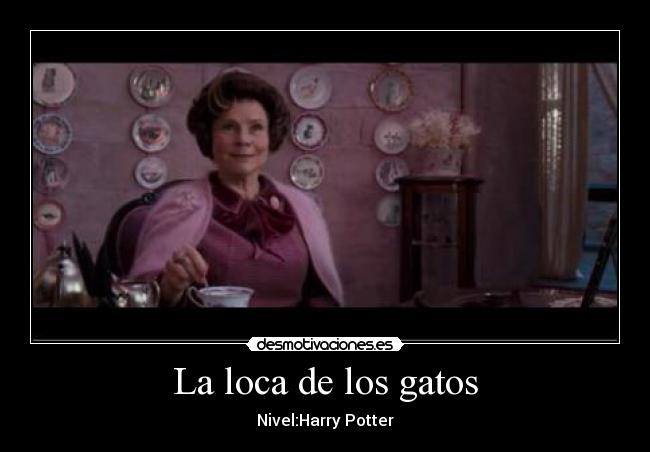 La loca de los gatos -