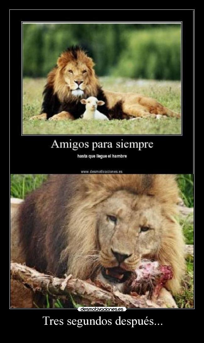 carteles tres segundos despues desmotivaciones