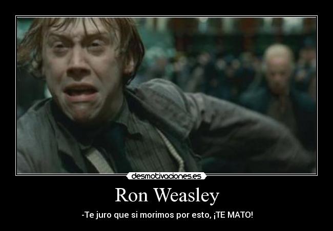 Ron Weasley - -Te juro que si morimos por esto, ¡TE MATO!