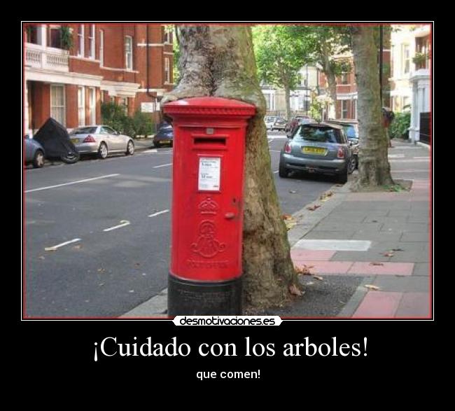 ¡Cuidado con los arboles! -
