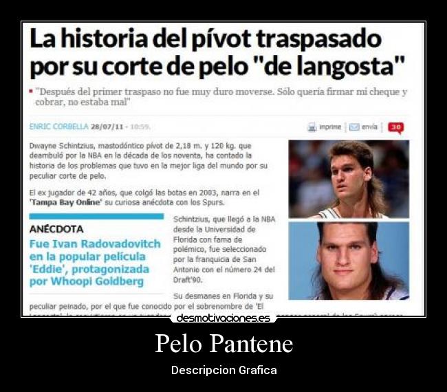 Pelo Pantene - Descripcion Grafica